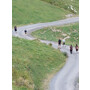 2023-09-09-Funkenzunf-Röns-Ausflug-Franz-Josef-Hütte-11.09.33 (5).jpeg