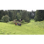 2024-09-14-Millrütte-FZR-Ausflug-3825.JPEG