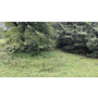 2024-09-14-Millrütte-FZR-Ausflug-3826.JPEG