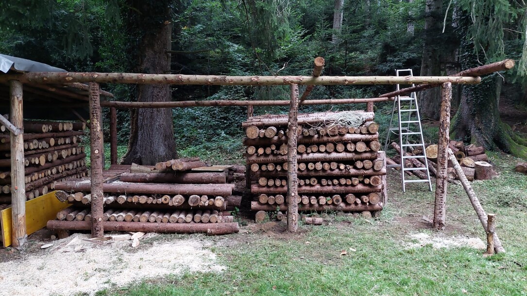 2025-11-FZR-Erweiterung-Holzlager-14.25.59.jpeg
