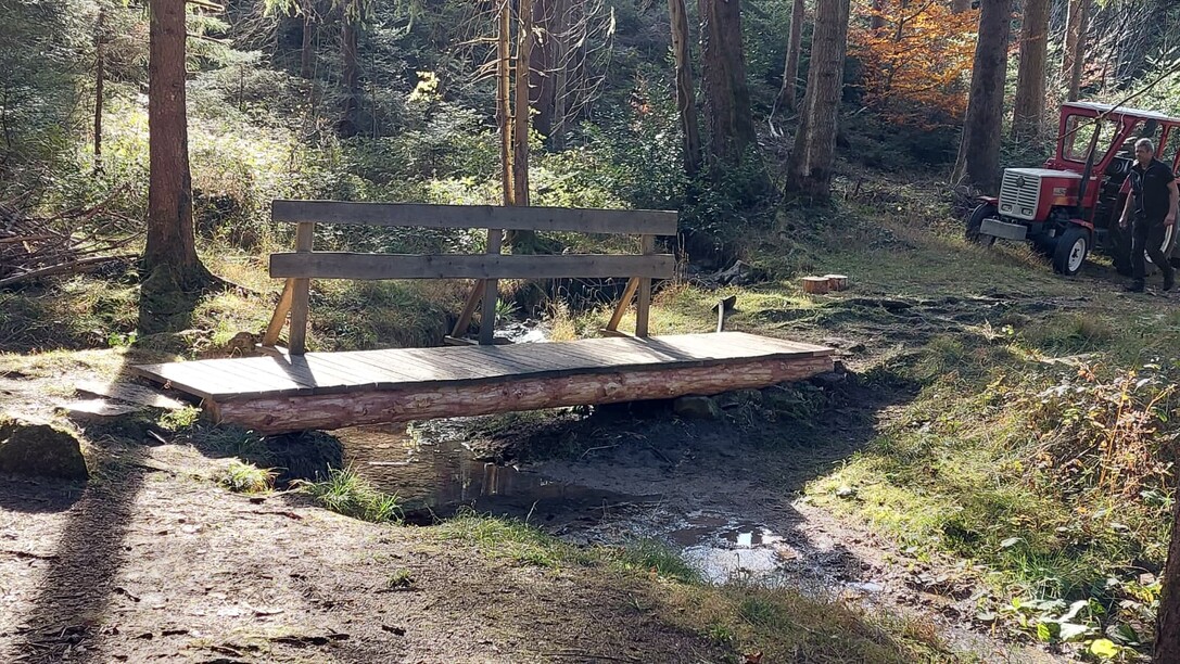 2025-11-15-FZR-Rönser-Weiher-Brückensanierung-14.10.44 (4).jpeg
