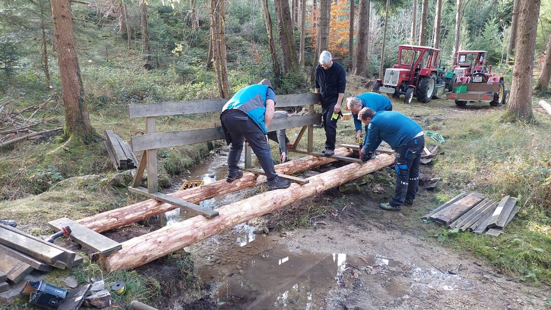 2025-11-15-FZR-Rönser-Weiher-Brückensanierung-14.10.45 (5).jpeg
