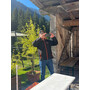 2026-09-19-FZR-Herbstausflug-Damüls-Furkapass-Walsertal-1.jpeg 2026-09-19-FZR-Herbstausflug-Damüls-Furkapass-Walsertal-1.jpeg