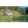 2026-09-19-FZR-Herbstausflug-Damüls-Furkapass-Walsertal-47.20 (2).jpeg 2026-09-19-FZR-Herbstausflug-Damüls-Furkapass-Walsertal-47.20 (2).jpeg